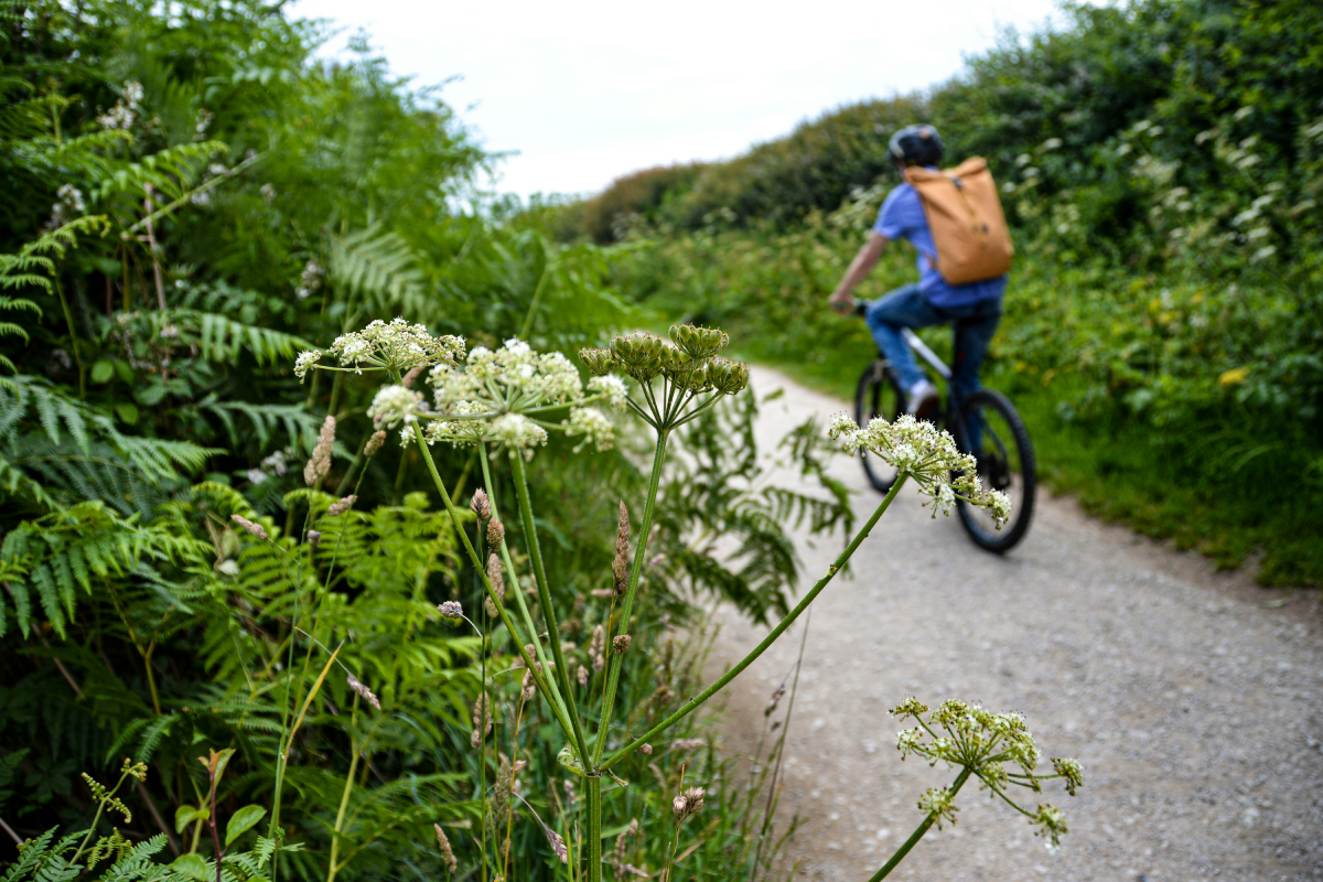 sustainability cycling